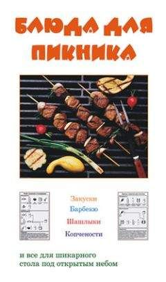 Владимир Водяницкий - 200 рецептов блюд на открытом воздух: гриль, барбекю, шашлык из мяса, рыбы, овощей, морепродуктов и фруктов
