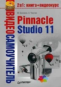 Владимир Молочков - Pinnacle Studio Plus. Основы видеомонтажа на примерах