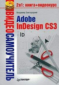 Владимир Завгородний - Adobe InDesign CS3