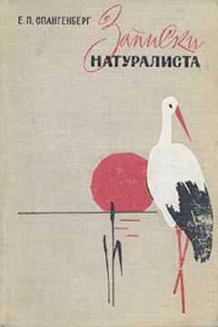 Николай Коротеев - По ту сторону костра