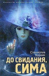 Станислав Сенькин - Украденные мощи. Афонскиерассказы