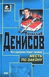 Вячеслав Денисов - Дело государственной важности