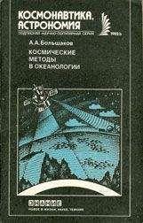 Кристиан Дэвенпорт - Космические бароны. Илон Маск, Джефф Безос, Ричард Брэнсон, Пол Аллен. Крестовый поход во имя колонизации космоса