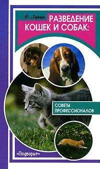 Мария Дорош - Ветеринарный справочник для владельцев кошек