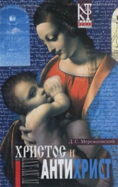 Карел Шульц - Камень и боль