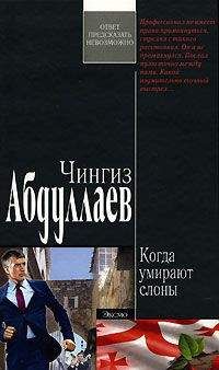 Чингиз Абдуллаев - Забава королей