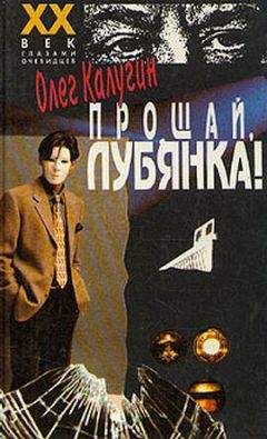 Александр Борин - Проскочившее поколение