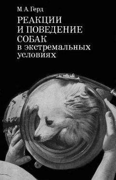 Николай Курчанов - Поведение: эволюционный подход