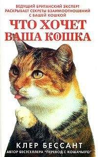 Елена Филиппова - С точки зрения Кошки