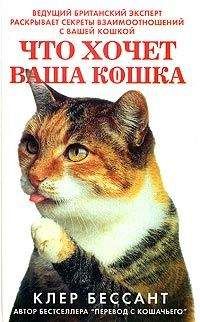 Клер Бессант - Перевод с кошачьего: Научитесь разговаривать со своей кошкой