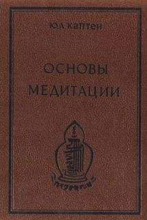 Юри (Артур) Каптен (Омкаров) - Подводные камни в море биоэнергетики: о чём не говорят наставники йоги и ци-гун