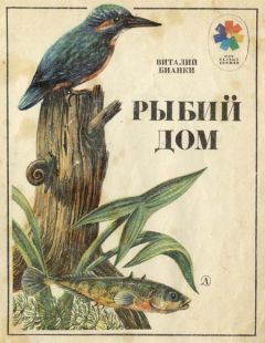 Виталий Бианки - Как муравьишка домой спешил