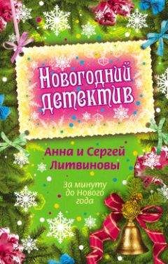 Анна и Сергей Литвиновы - За минуту до Нового года (сборник)