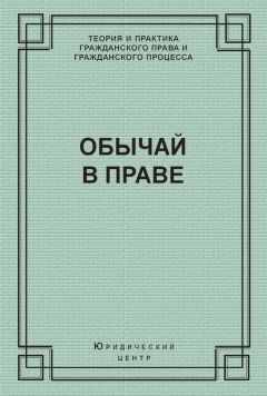 Юрий Андреев - Ограничения в гражданском праве России