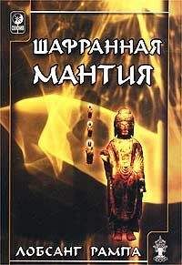 Джерри Хикс - Сара. Путешествие ребенка в мир безграничной радости (сборник)