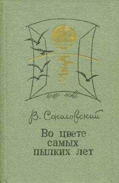 Владимир Соколовский - Пал Иваныч из Пушечного