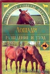 Юрий Бойчук - Большой ветеринарный справочник