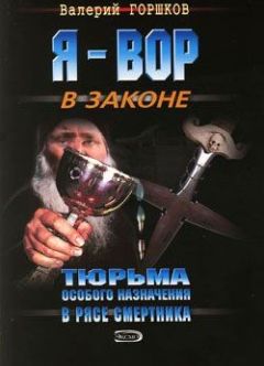 Валерий Горшков - Принц воров