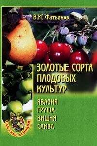 Илья Мельников - Что можно вырастить? Хороший урожай из семян