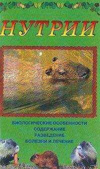 Петр Хлусов - Аквариумы и аквариумные рыбки. Опыт успешного содержания и разведения в домашних условиях