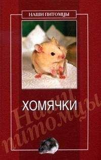 Валентин Михайлов - Морская свинка