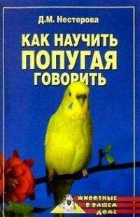 Марина Куропаткина - Декоративные мыши и крысы