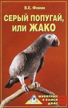 Курт Колар - Волнистые попугайчики