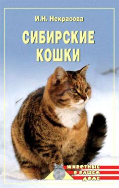 Клер Бессант - Перевод с кошачьего: Научитесь разговаривать со своей кошкой