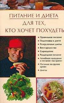 Владимир Корчагин - Французская диета