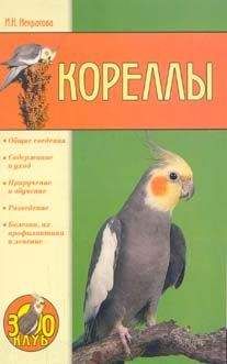 Юрий Харчук - Справочник современного фермера. Птицеводство, животноводство, коневодство