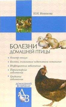 С. Никитин - Гомеопатическое сопровождение щенков элитных пород