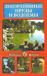 Евгений Банников - Обустройство дачного участка. Быстро, красиво, экономно