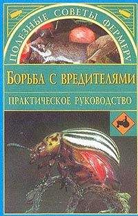 Николай Курдюмов - Виноград. Секреты виноградарей севера и юга России