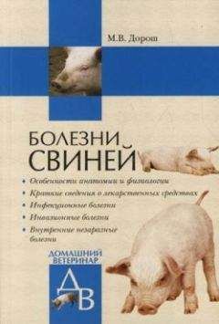 Николай Баринов - Справочник свиновода
