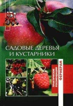 Илья Мельников - Что можно вырастить Что делать, если плодовое дерево заболело