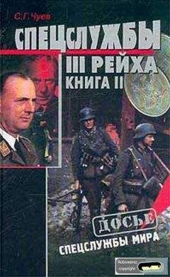 Михаил Шкаровский - Крест и свастика. Нацистская Германия и Православная Церковь
