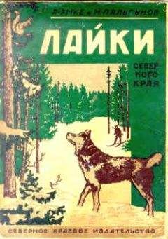 В. Чернышов - Только радость доставлявший…