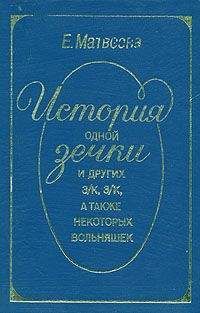 Наталья Первухина-Камышникова - В. С. Печерин: Эмигрант на все времена