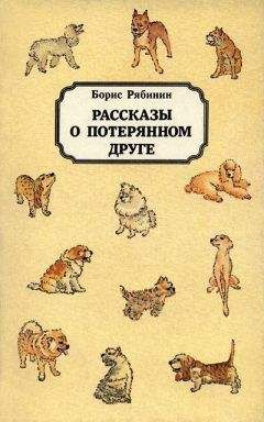 Борис Казанов - Роман о себе