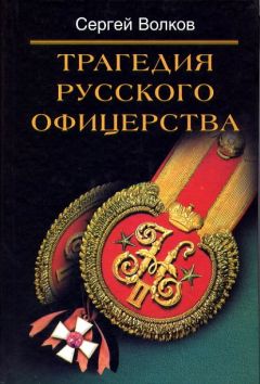 Роман Абинякин - Офицерский корпус Добровольческой армии: Социальный состав, мировоззрение 1917-1920 гг