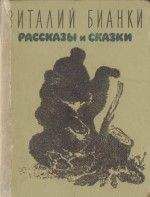 Дмитрий Горчев - Рассказы