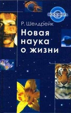 Даглас Хофштадтер - Глаз разума