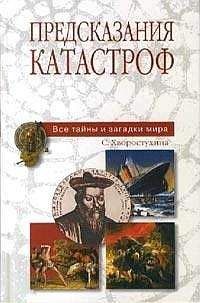 Елена Чиркова - Анатомия финансового пузыря