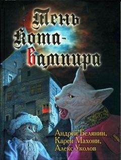 Андрей Руб - Джок. Выбравший тень.    Книга 3.