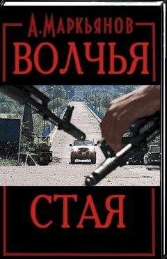 Александр Войнов - Оседлавший тигра спешиться не сможет