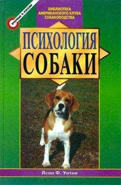 Квятковский Вадимович. - Биоритмы или основы альтернативной психологии. Часть 1.