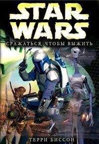 Николай Шмигалев - Юродивый: путь звездного воина