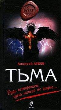 Александра Ведьмина - Тринадцать творений Фабера Дьяболи