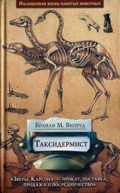 Дмитрий Черкасов TM - Самец, или Приключения веселых «мойдодыров»