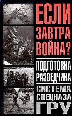 Семён Федосеев - Пистолет и револьвер в России